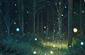 【夜观青神萤火虫1日游】成都周边1日游之探索青神萤火虫秘境