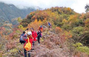 【耿达红旗垉1日游】成都周边1日游卧龙彩林徒步之旅