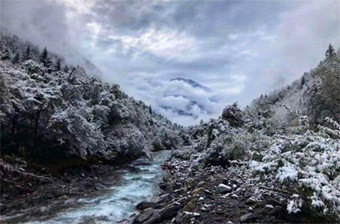 【卧龙青岗包1日游】成都周边1日游徒步卧龙青岗包