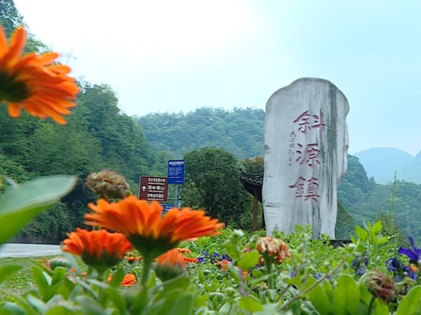 【网红斜源镇+安仁古镇1日游】成都周边一日游两古镇之旅（含午餐）