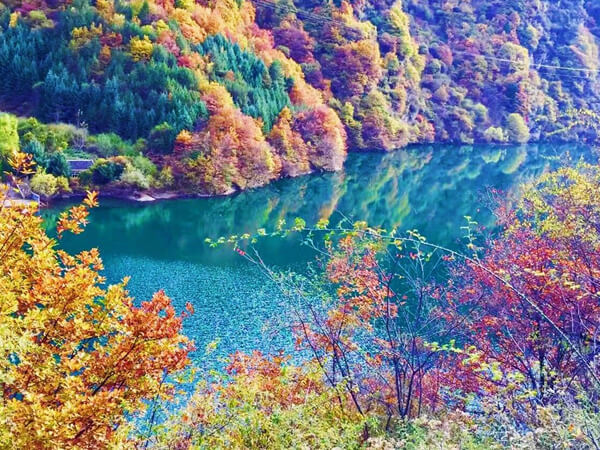 【Nai子沟2日游】成都周边2日游层林尽染寻彩秋色深度户外游