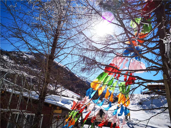 【鹧鸪山2日游】成都周边游2日玩雪之旅 - 错峰游玩+藏式火锅（耍雪特价版）