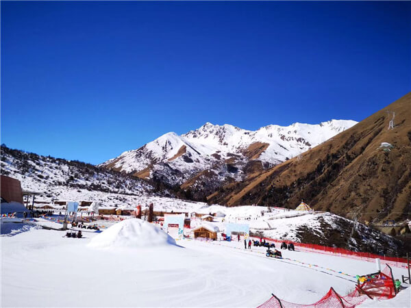 【鹧鸪山滑雪+毕棚沟2日游】成都周边冰雪品质2日游（纯玩）