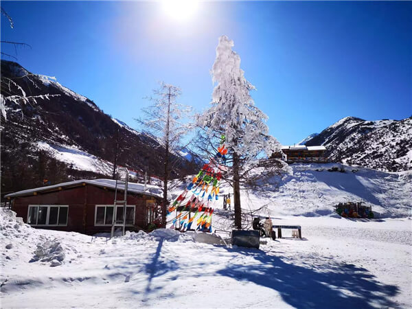 【鹧鸪山1日游】成都周边1日游鹧鸪山景区直通车（含门票）