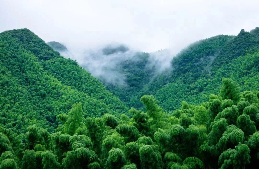 【七月麓山1日游】成都周边一日游之休闲徒步七月麓山1日游