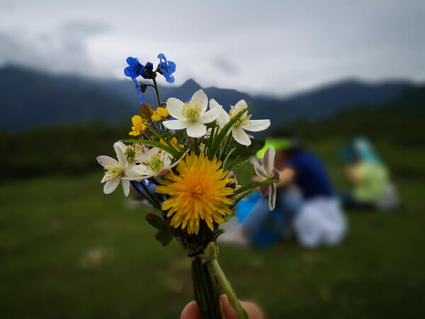 【云中牧场1日游】成都周边一日游徒步卧龙云中牧场