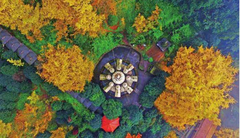 【白巖寺1日游】成都周邊一日游徒步白巖寺賞銀杏之旅
