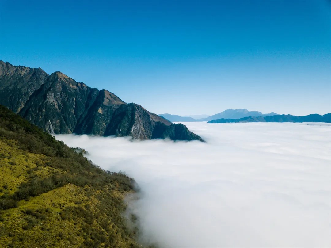 【巴朗山云上花林徒步1日游】成都周边游之巴朗山徒步云上花林1日游
