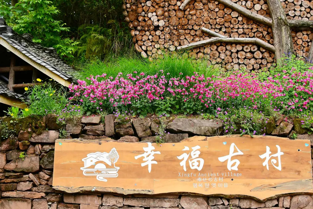 【丹棱幸福古村1日游】成都周边一日游之徒步赏花幸福古村