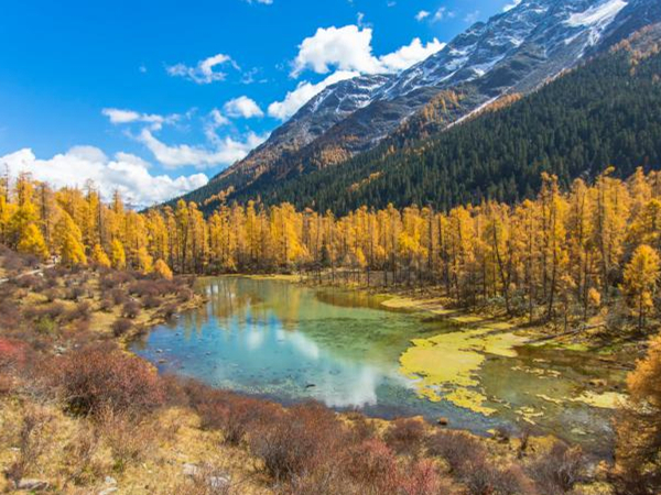 【川西秘境玛嘉沟2日游】探索川西秘境成都周边游户外纯玩2日游（节假日特辑）